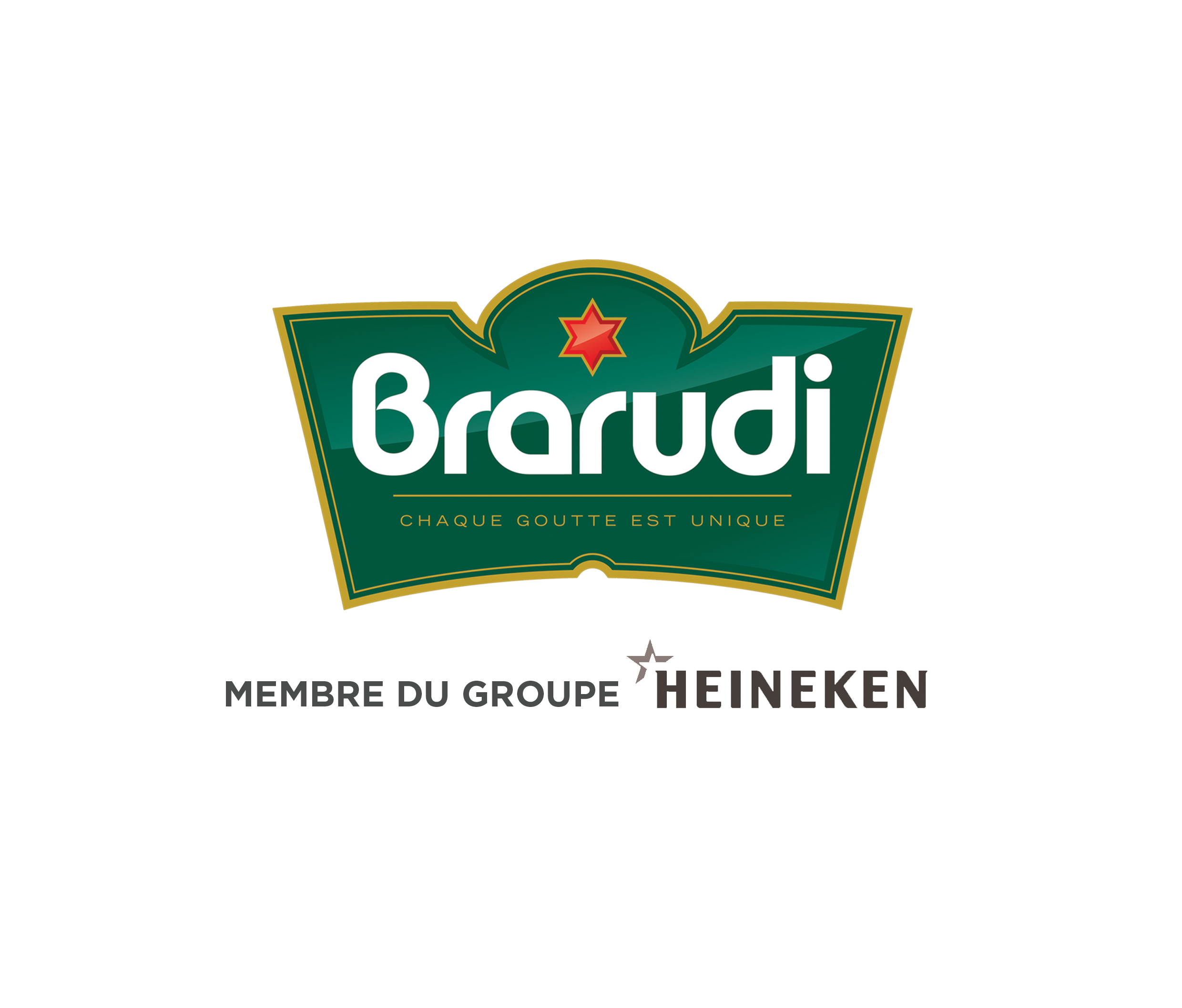 brarudi logo