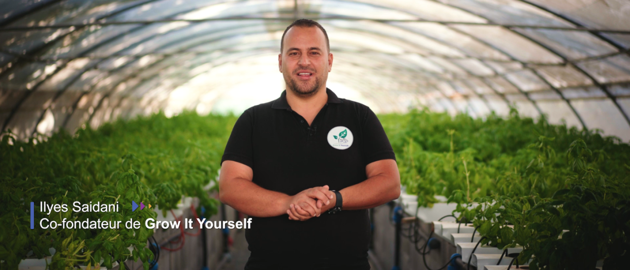 Post Profile Ilyes Saidani and Grow It Yourself: leading the way in hydroponic farming in Tunisia image of Giy