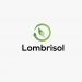 Venture Profile LOMBRISOL image of Logo Soci T LOMBRISOL