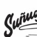 Venture Profile Sunugal Surf Board Repair image of IMG