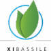 Venture Profile Xi Bassile image of XI BASSILE Logo