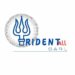 Venture Profile Trident ALL SARL image of Trident