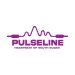 Venture Profile Pulseline image of 
